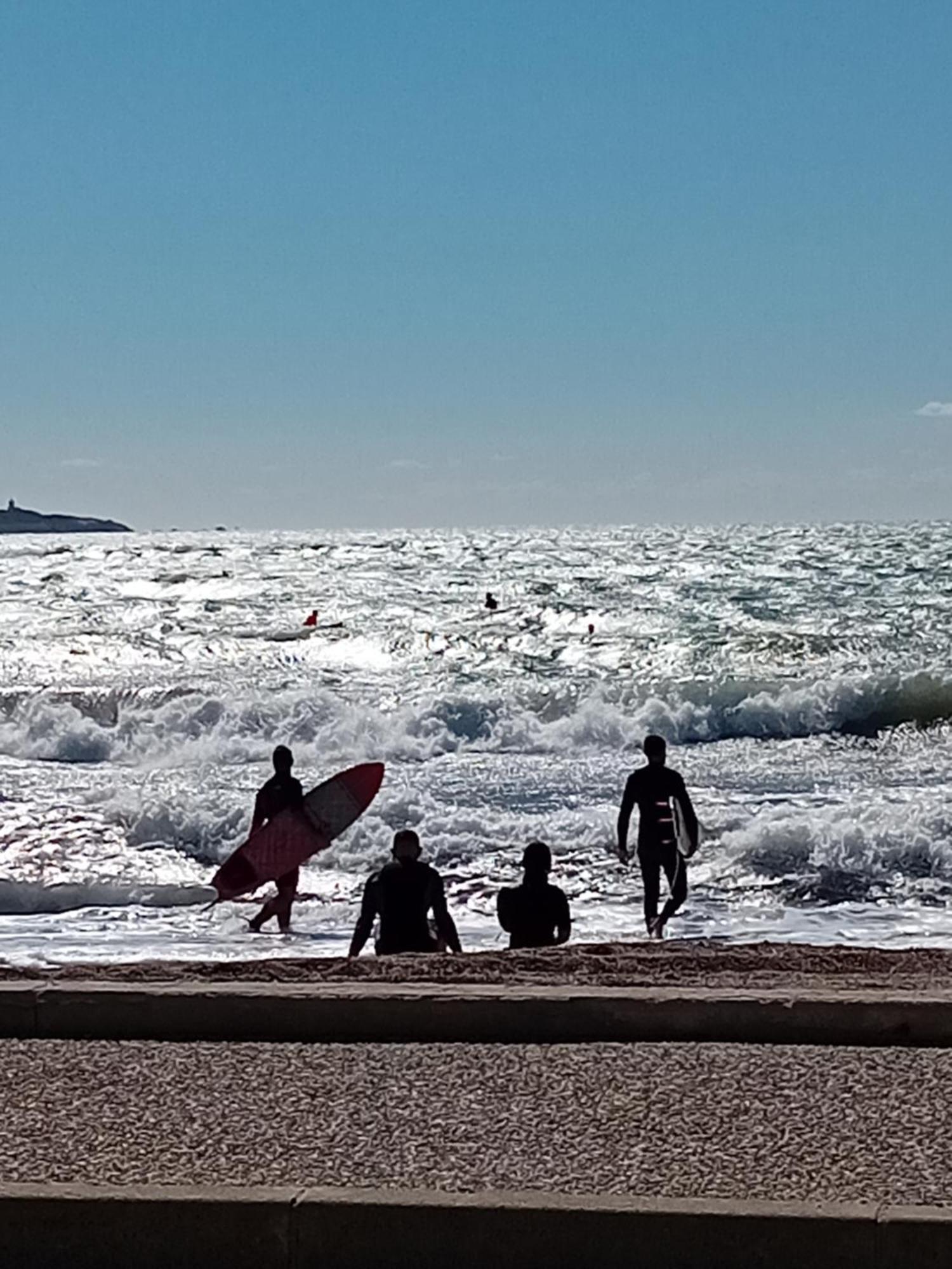 Appartement T2 Avec Piscine A 100 M De La Plage Six-Fours-les-Plages Zewnętrze zdjęcie